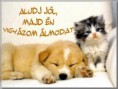/album/kepgaleria-kezdolap/a430378-185219591583569-118865098219019-269146-452296742-n-300x225-jpg1/