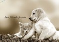 /album/fenykepgaleria/best-friends-forever-wallpaper-yvt2-jpg/